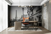 Artistic mural of Paris in black and white for stylish interiors., GD1483