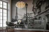 Chic mural of Paris streets and skyline in elegant greyscale., GD1483