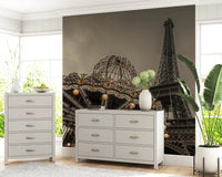 Monochrome style Eiffel Tower with carousel lights wall mural