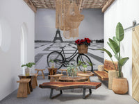 Wicker basket red roses Parisian Love Story bicycle wallpaper.
