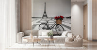 Vintage bicycle red roses basket Parisian Love Story wallpaper.