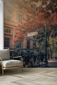 Parisian Metro Charm Wall Mural