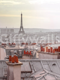 Parisian Rooftops Wall Mural
