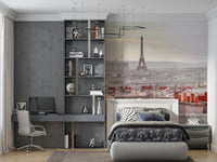 Parisian Rooftops Wall Mural