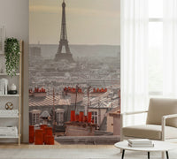 Parisian Rooftops Wall Mural
