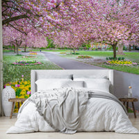 Pink blossom trees arching over park path

