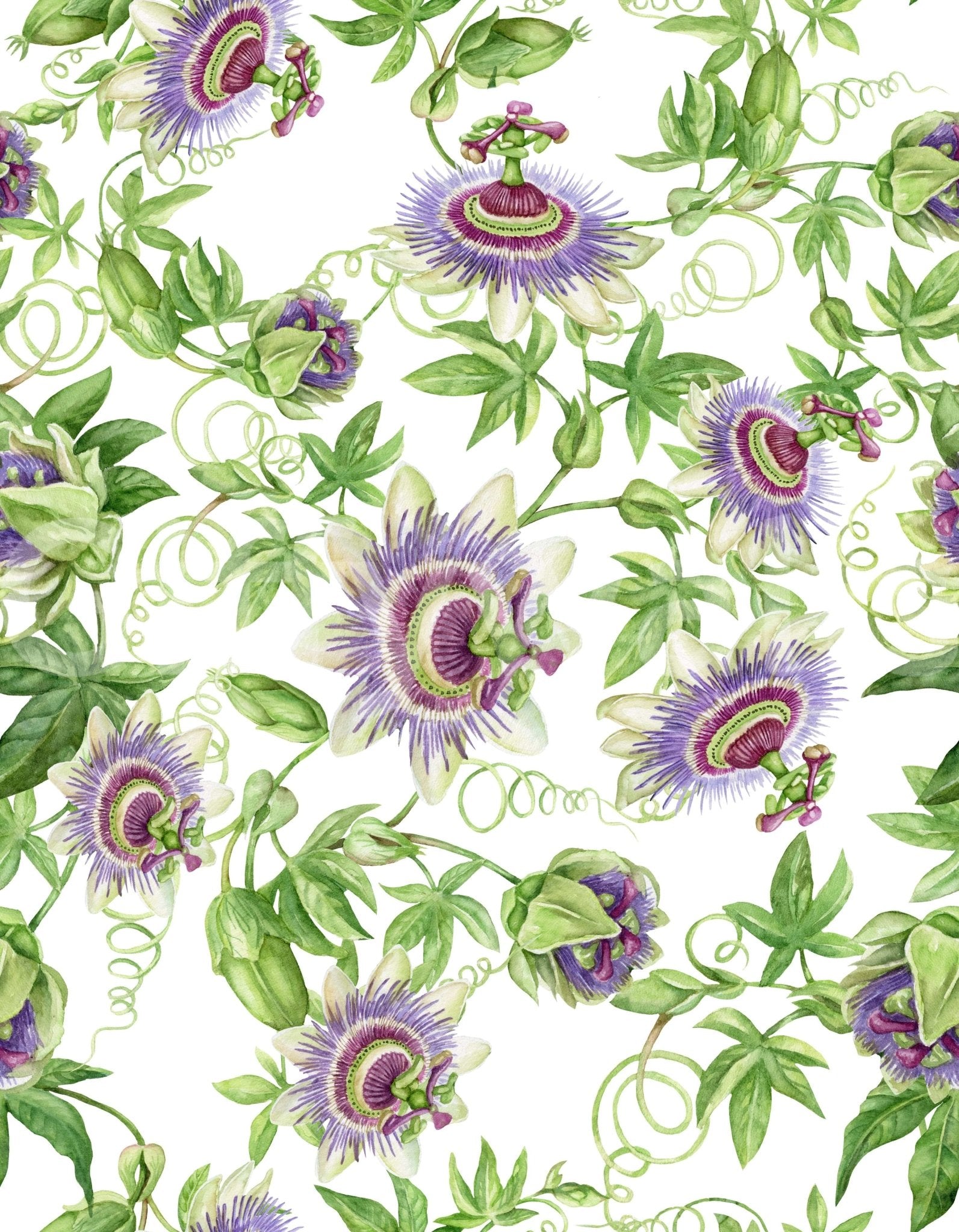 Botanical Passionflower Dream living room backdrop.