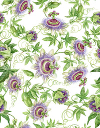 Botanical Passionflower Dream living room backdrop.