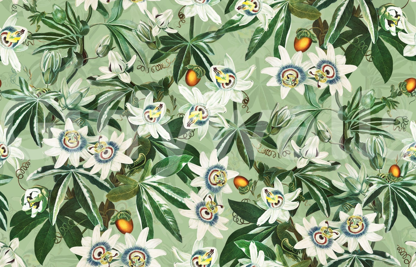 Passionflower Paradise Wallpaper⁠