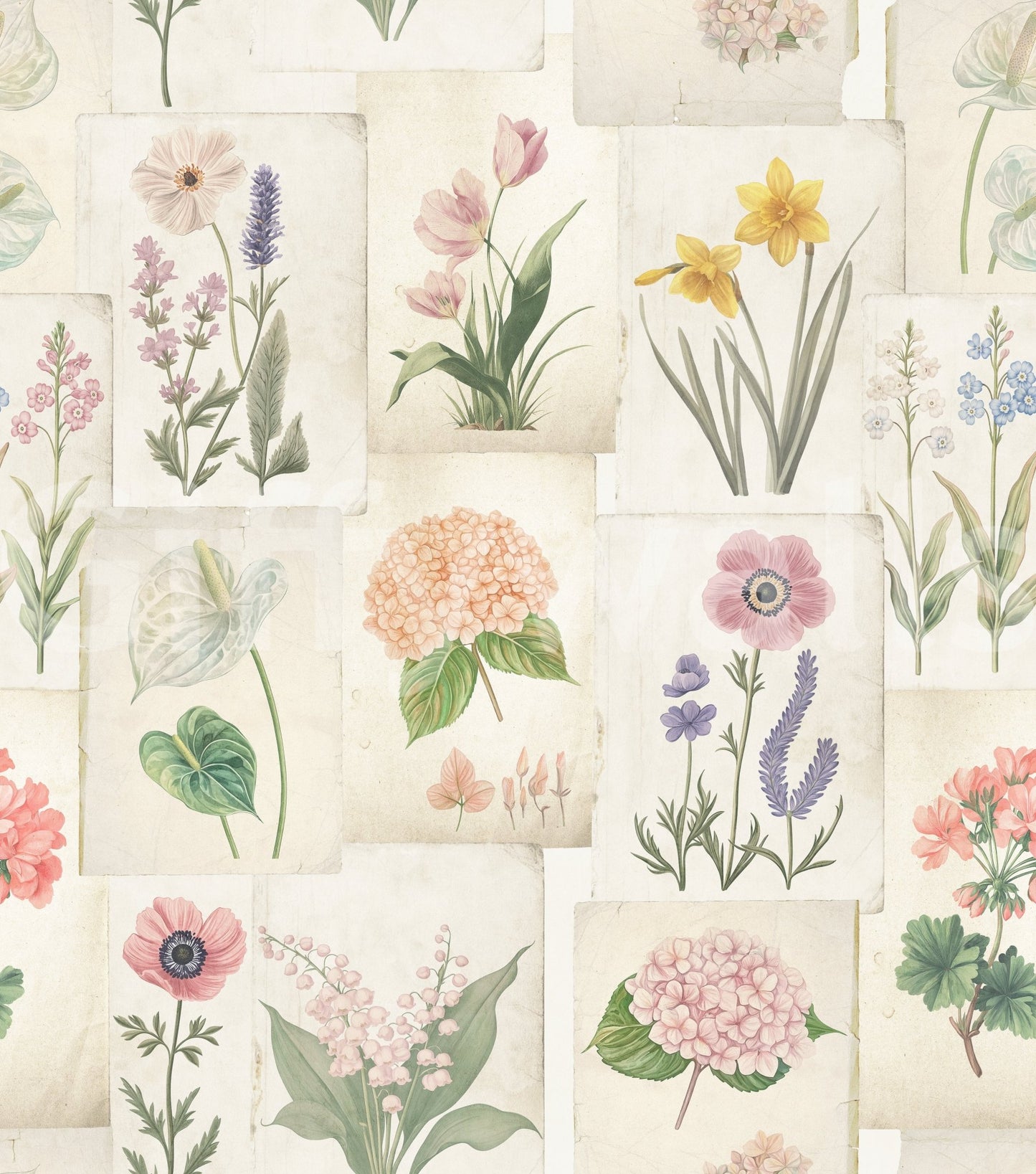 Botanical wallpaper with collected flower sketches and delicate garden color, GD8696