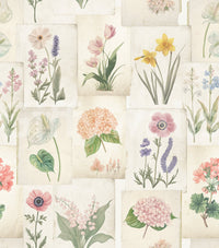 Botanical wallpaper with collected flower sketches and delicate garden color, GD8696