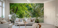 Scenic Path of Discovery Wall Mural with green tree canopy GD5045