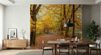 Peaceful nature Pathway Covered in Fall Leaves Wall Mural scene.