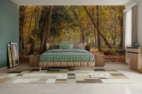 Autumn trail mural featuring vibrant orange foliage.

