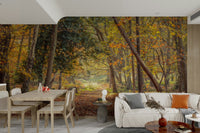 Tranquil fall forest path with soft morning light.

