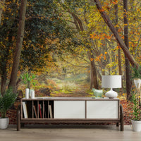 Rustic autumn forest with winding leaf-strewn trail.

