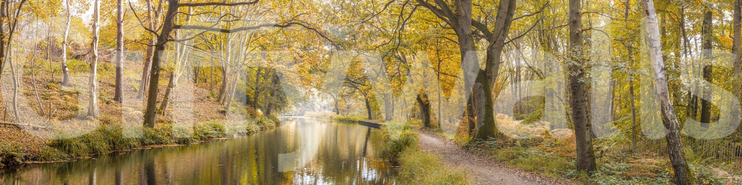 The image feels like a quiet walk in the woods during fall.

