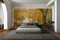 The trees have yellow and golden autumn leaves.

