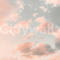 The style is a soft-focus illustration or a painterly design.

