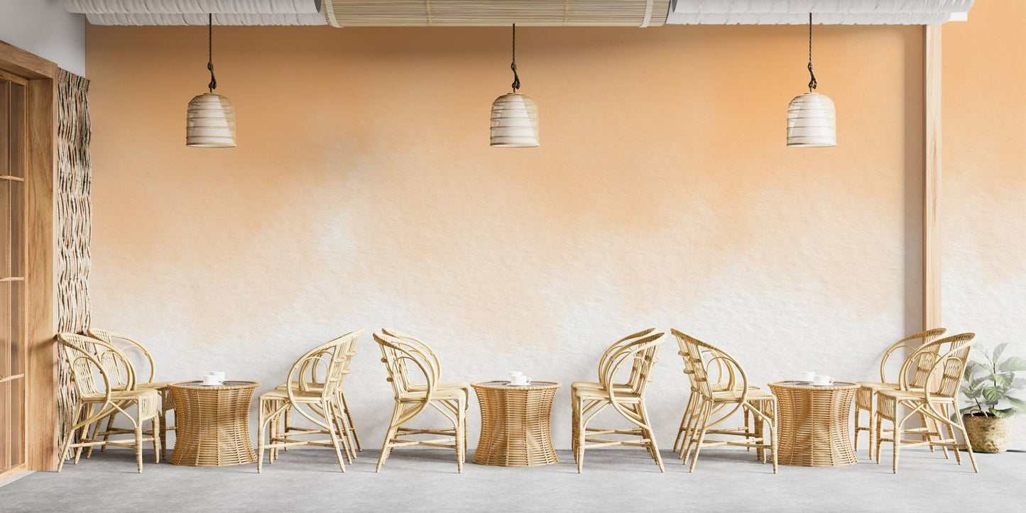 Peach Watercolor Wash Wall Mural - Giffywalls
