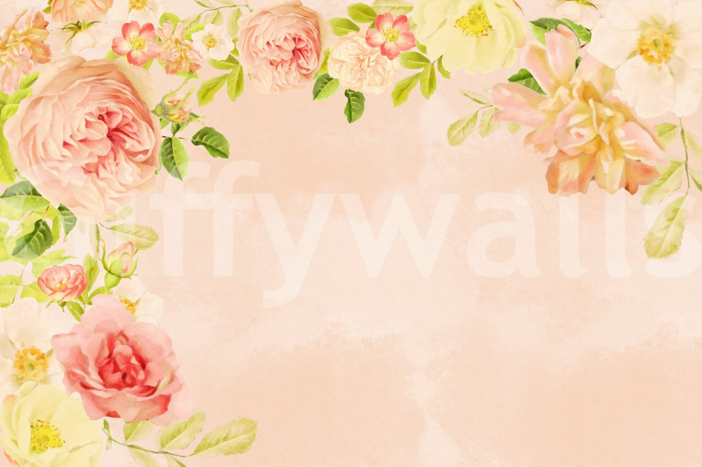 Peachy Keen Roses Wall Mural