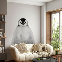 Penguin chick on white background

