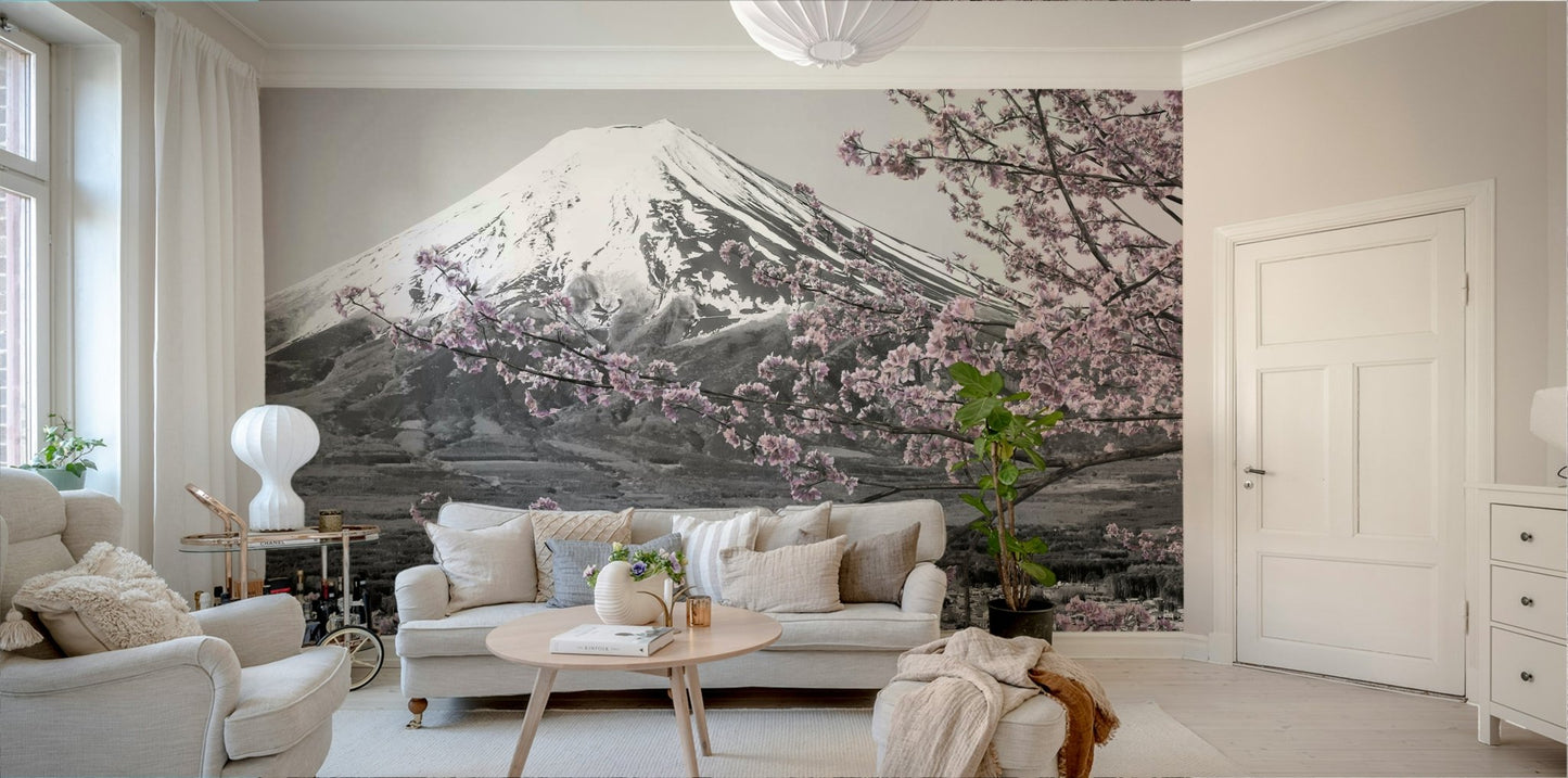 Colorkey mural showing pink blossoms against black-and-white Fuji view.

