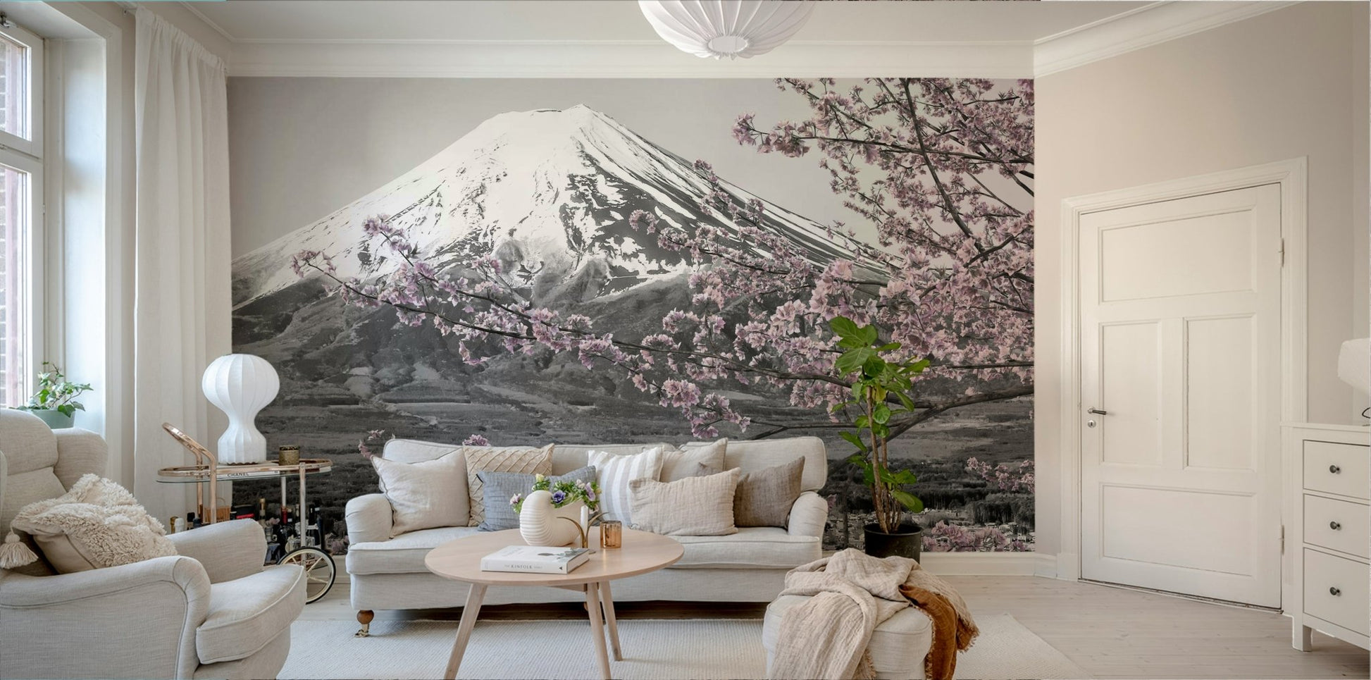 Colorkey mural showing pink blossoms against black-and-white Fuji view.

