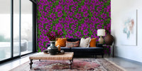 Yellow starburst centres anchor every bloom in Pink Clematis wallpaper.GD9572