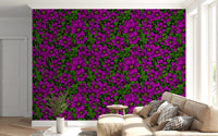 Vibrant magenta petals fan out across Pink Clematis Vine wallpaper.GD9572