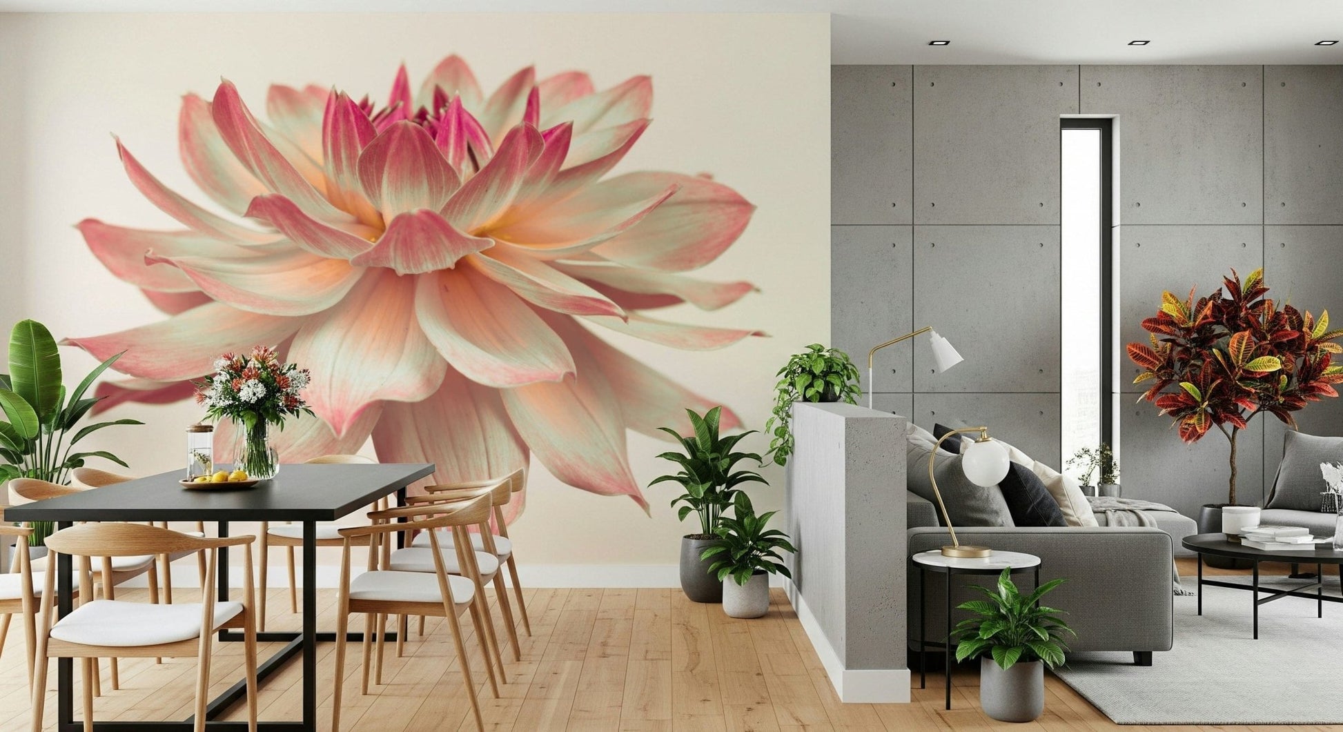 Pink Dahlia poster printing elegant flower head subtle shading paper., GD7096