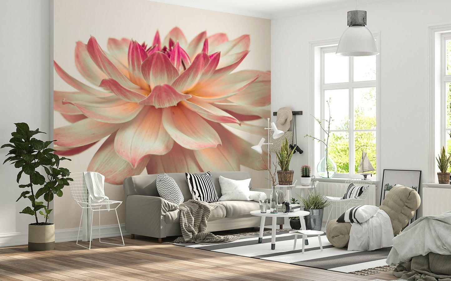 Feminine Pink Dahlia photo print coastal living serene garden sight., GD7096