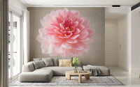 Living room with Pink Dahlia wall mural floral close-up, GD8768