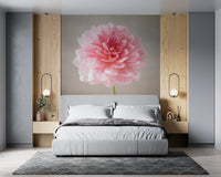 Bedroom featuring Pink Dahlia wall mural with blush petals, GD8768