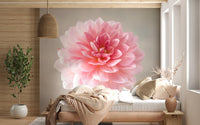 Pink Dahlia mural with gentle pink bloom and neutral backdrop, GD8768