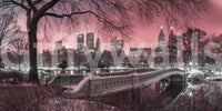 Tranquil pink sky over Central Park at sunset mural.

