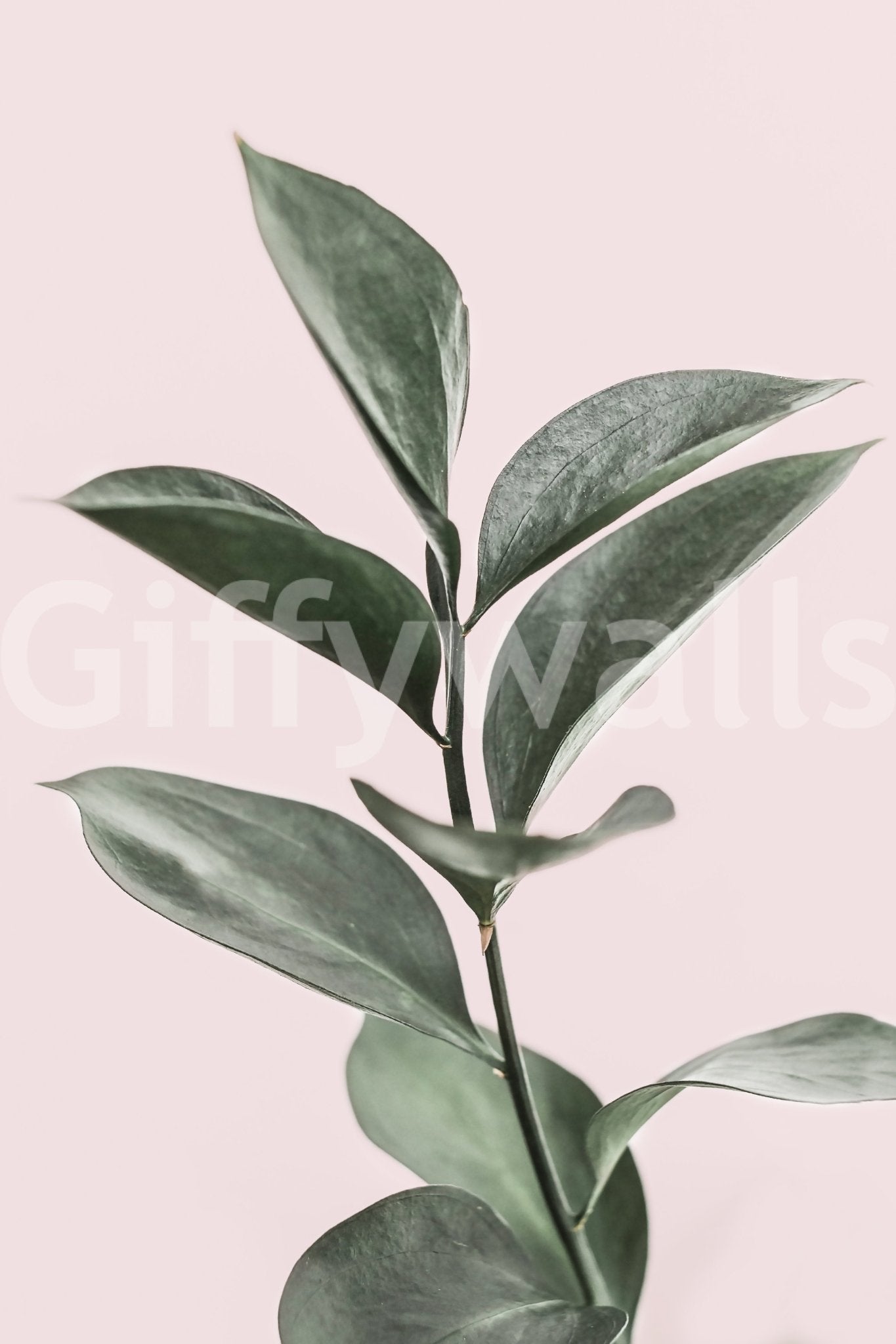 Pink & Green Harmony Wall Mural