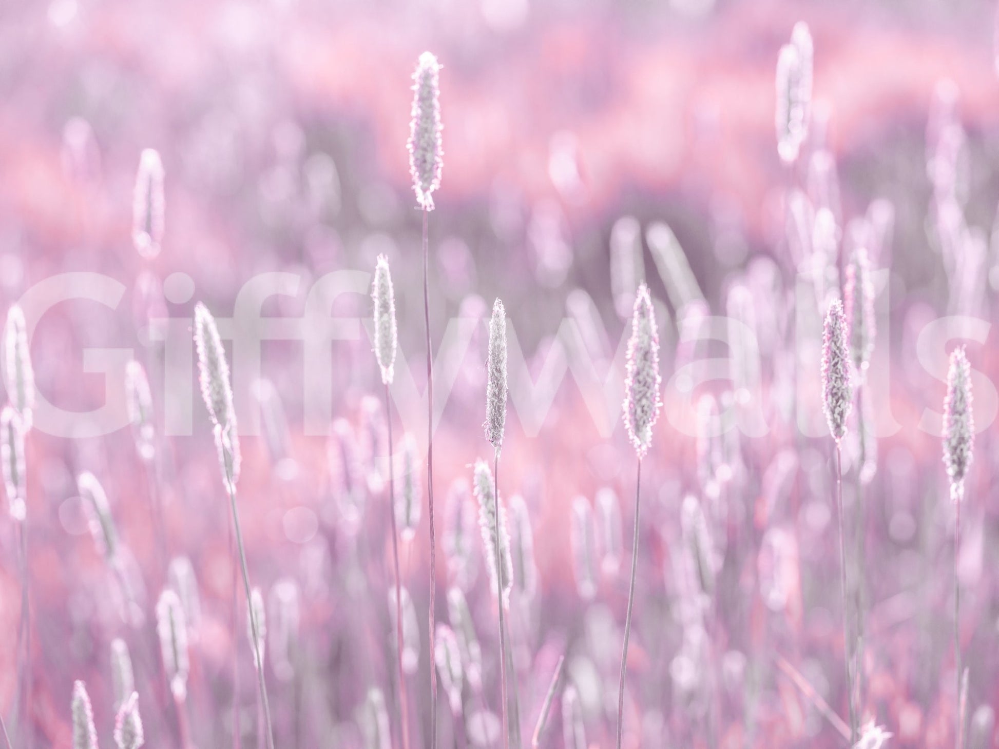 Feminine floral wallpaper with soft wild stems, GD2653