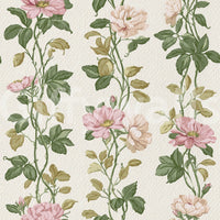 Pink Rose Vines Wallpaper⁠
