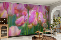 The field is wide, with a path leading into the distance.

