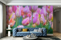 The overall feel is quiet and serene.

