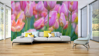 A peaceful wall mural with a field of pink tulips.

