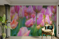 The background is a soft, light color, perhaps a soft blue or green.

