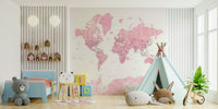 Decorative pink map wallpaper art

