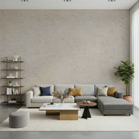 Plastered Beige Wall Mural installed in a bright living room.