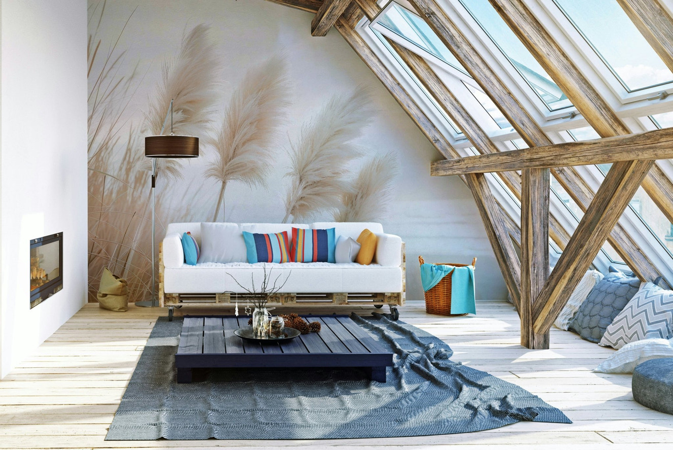 Poetry by the sea - Pampas grass in evening light