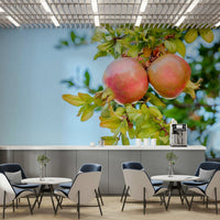 An artistic pomegranate tree mural on minimalist wallpaper., GD5143