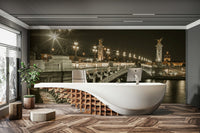 Parisian landmark with beautifully lit lamps on the bridge

