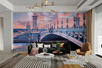 Romantic sunset view of Alexandre bridge

