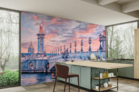 Paris bridge with dome and ornate lamps

